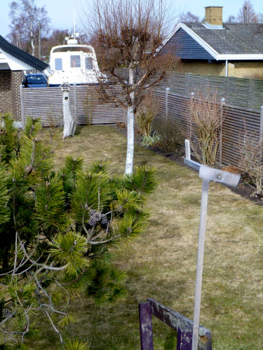 Vindfløj / Weather vane