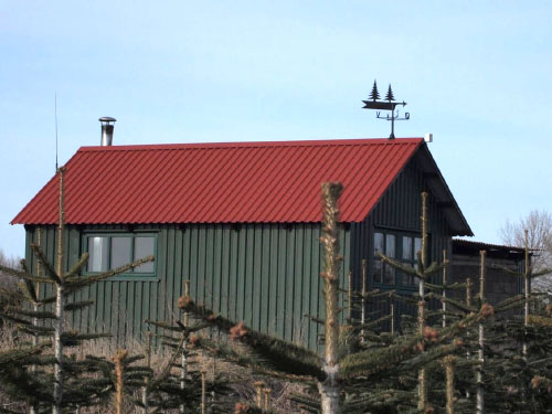 Vindfløj / Weather vane