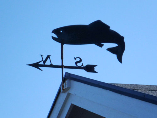 Vindfløj / Weather vane