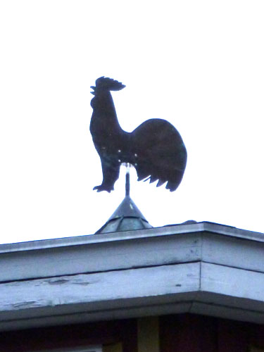 Vindfløj / Weather vane