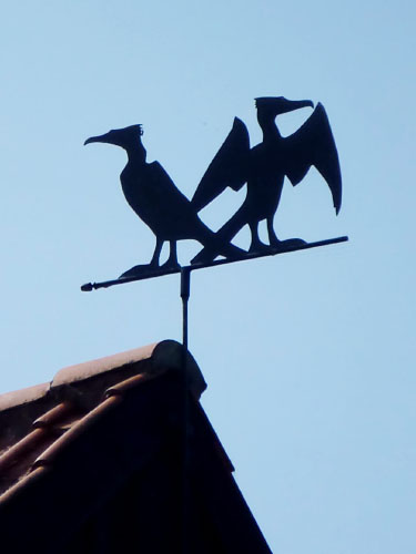 Vindfløj / Weather vane