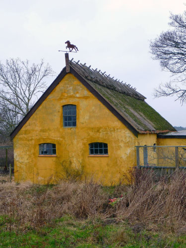 Vindfløj / Weather vane