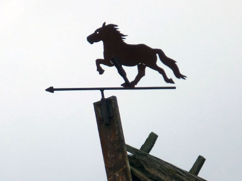 Vindfløj / Weather vane