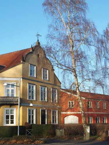 Vindfløj / Weather vane