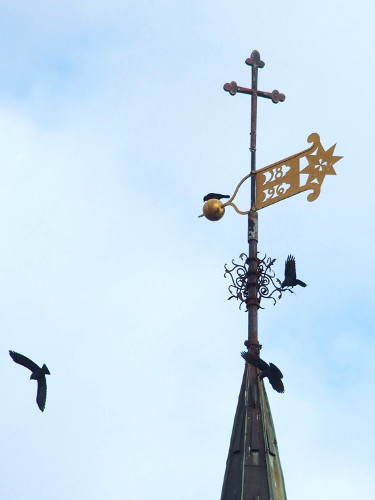 Vindfløj / Weather vane