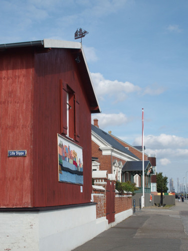 Vindfløj / Weather vane