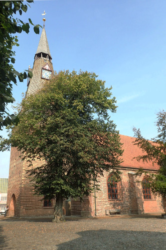 Vindfløj / Weather vane