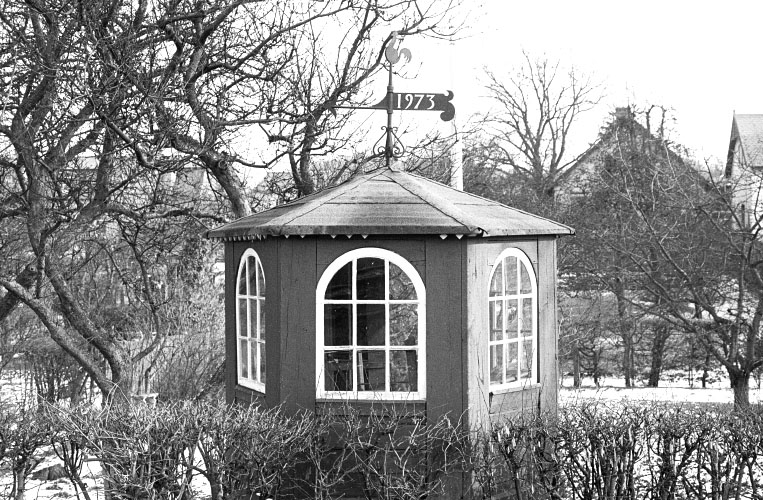 Vindfløj / Weather vane