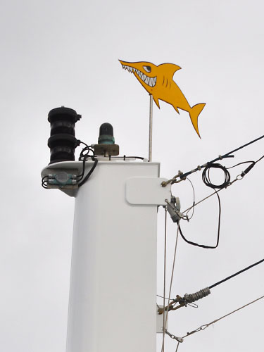 Vindfløj / Weather vane