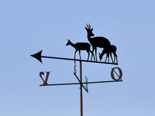 Vindfløj / Weather vane