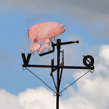 Vindfløj / Weather vane
