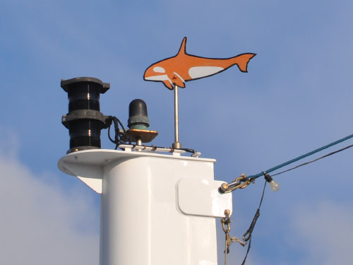 Vindfløj / Weather vane