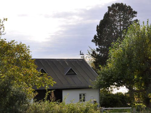 Vindfløj / Weather vane
