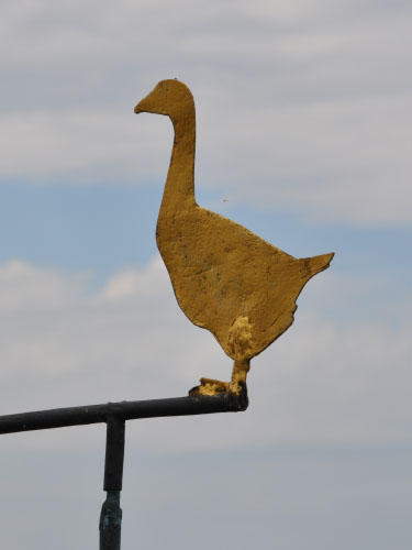 Vindfløj / Weather vane