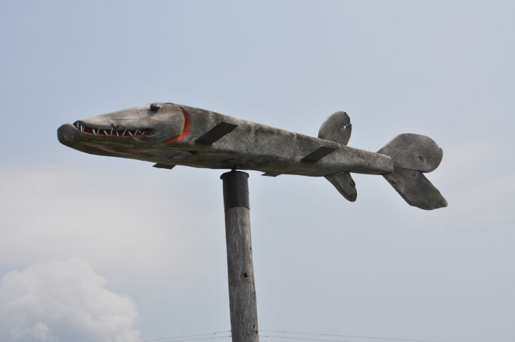 Vindfløj / Weather vane