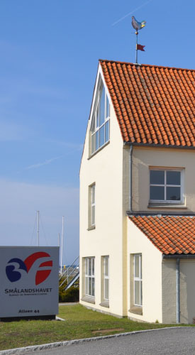 Vindfløj / Weather vane