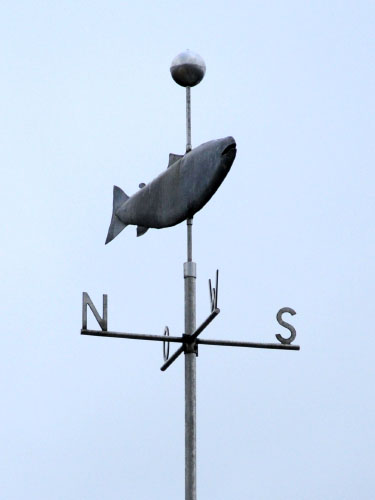 Vindfløj / Weather vane