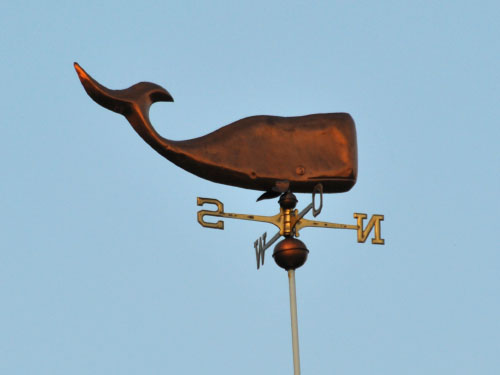 Vindfløj / Weather vane