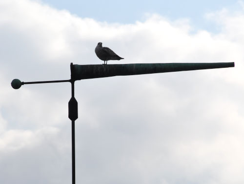Vindfløj / Weather vane