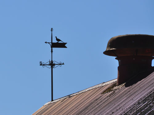 Vindfløj / Weather vane