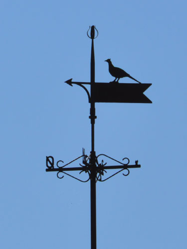 Vindfløj / Weather vane