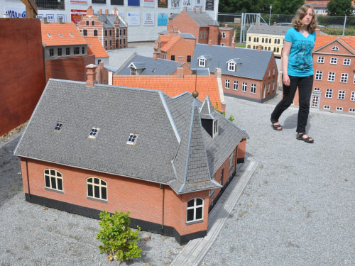 Vindfløj / Weather vane