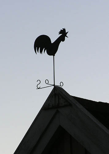 Vindfløj / Weather vane
