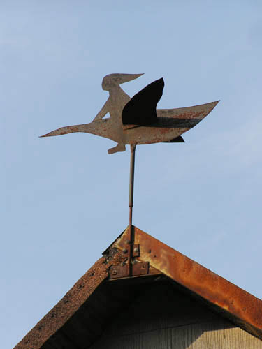 Vindfløj / Weather vane