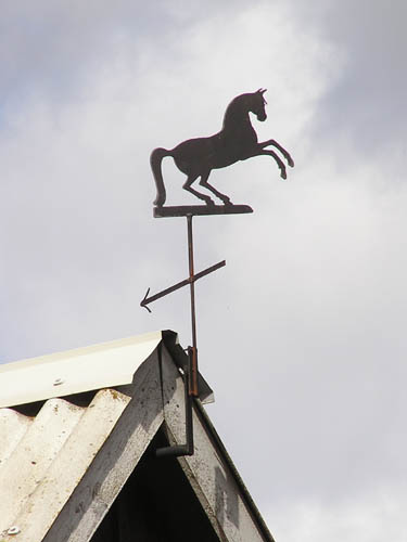 Vindfløj / Weather vane