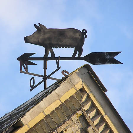 Vindfløj / Weather vane