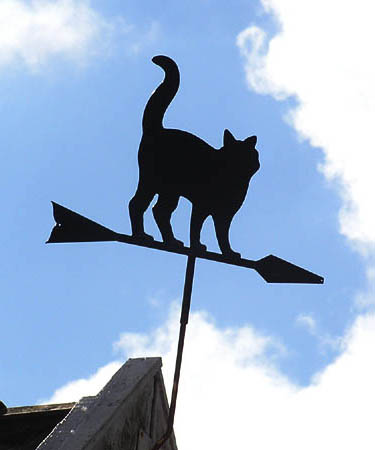 Vindfløj / Weather vane
