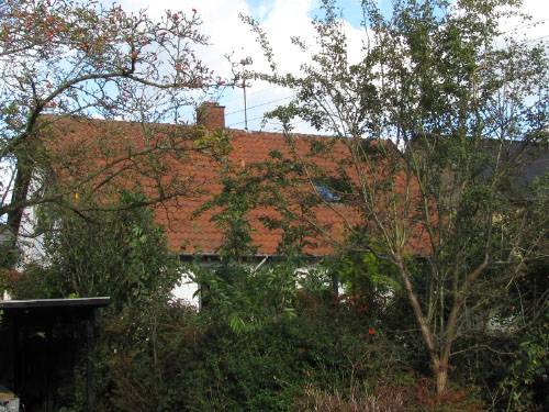 Vindfløj / Weather vane