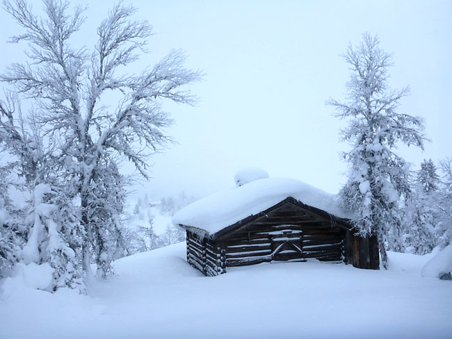 Gålå 2014