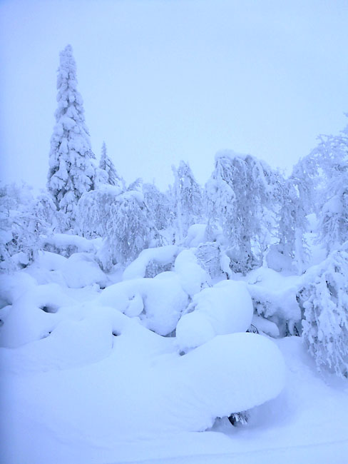 Gålå 2014