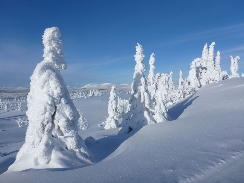 Gålå 2014
