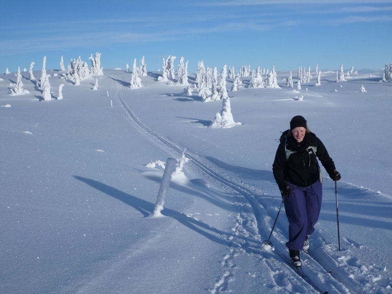 Gålå 2014