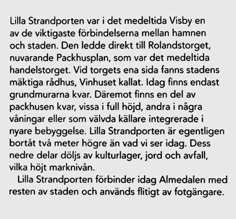 Lilla Strandporten var i det medeltida Visby en av de viktigaste förbindelsema mellan hamnen och staden. Den ledde direkt till Rolandstorget, nuvarande Packhusplan, som var det medeltida handelstorget. Vid torgets ena sida fanns stadens mäktiga rådhus, Vinhuset kallat. Idag finns endast grundmurama kvar. Däremot finns en del av packhusen kvar, vissa i full höjd, andra i några våningar eller som välvda källare integrerade i nyare bebyggelse. Lilla Strandporten är egentligen bortåt två meter högre än vad vi ser idag. Dess nedre delar döljs av kulturlager, jord och avfall, vilka höjt marknivån. Lilla Strandporten förbinder idag Almedalen med resten av staden och används flitigt av fotgängare.