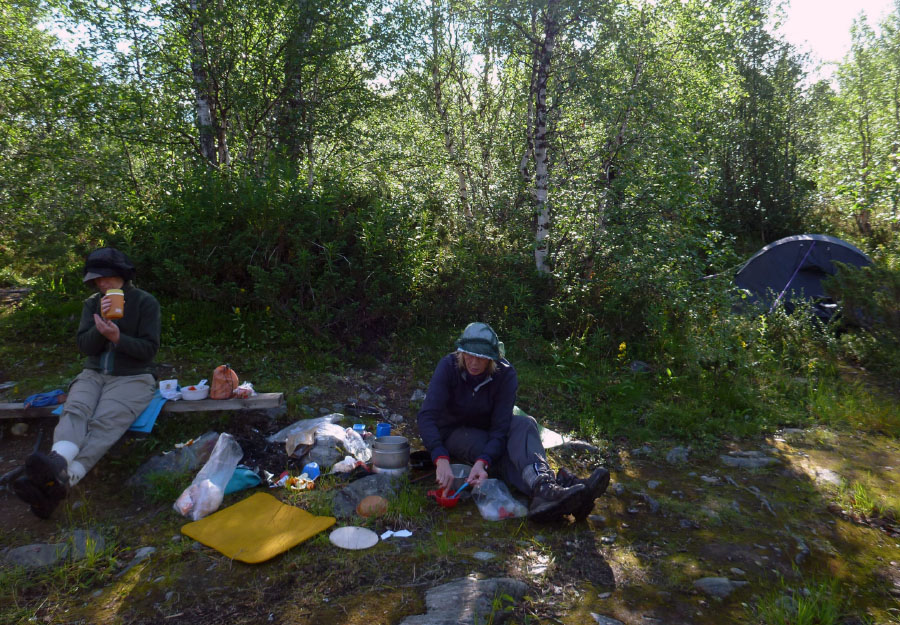 Sarek