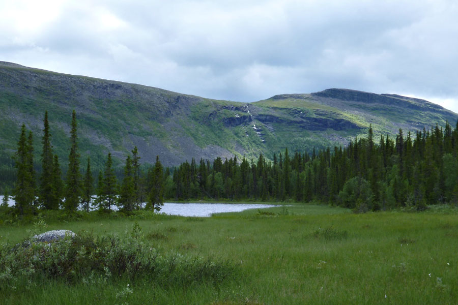 Sarek