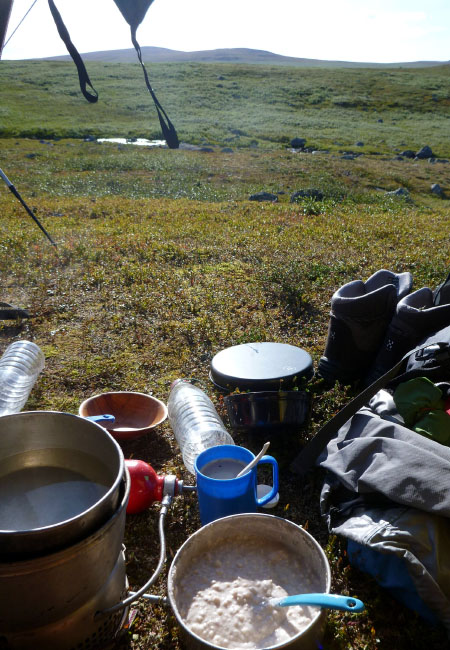 Sarek