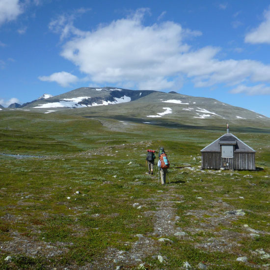 Sarek