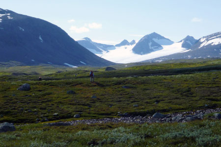 Sarek