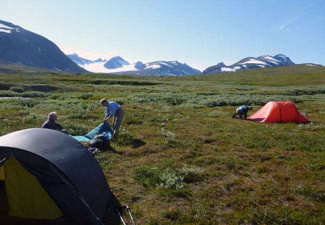 Sarek