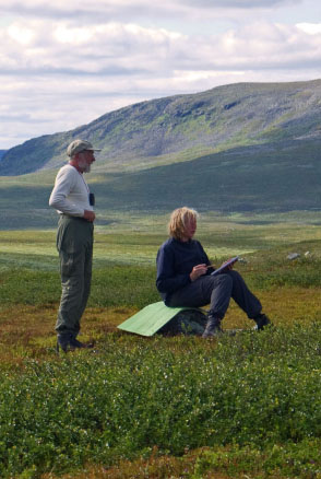 Sarek