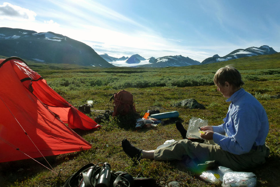 Sarek