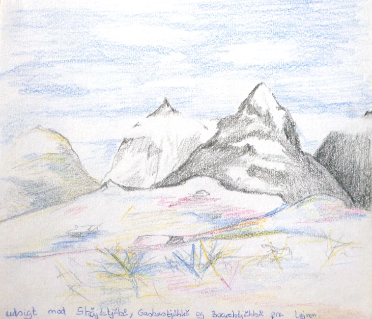 Sarek