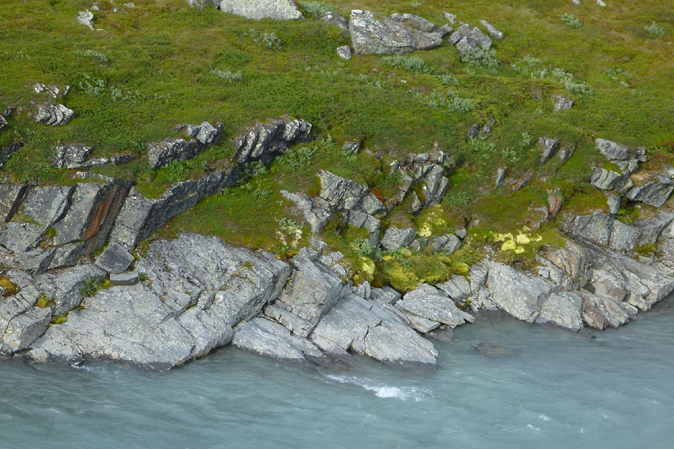 Sarek