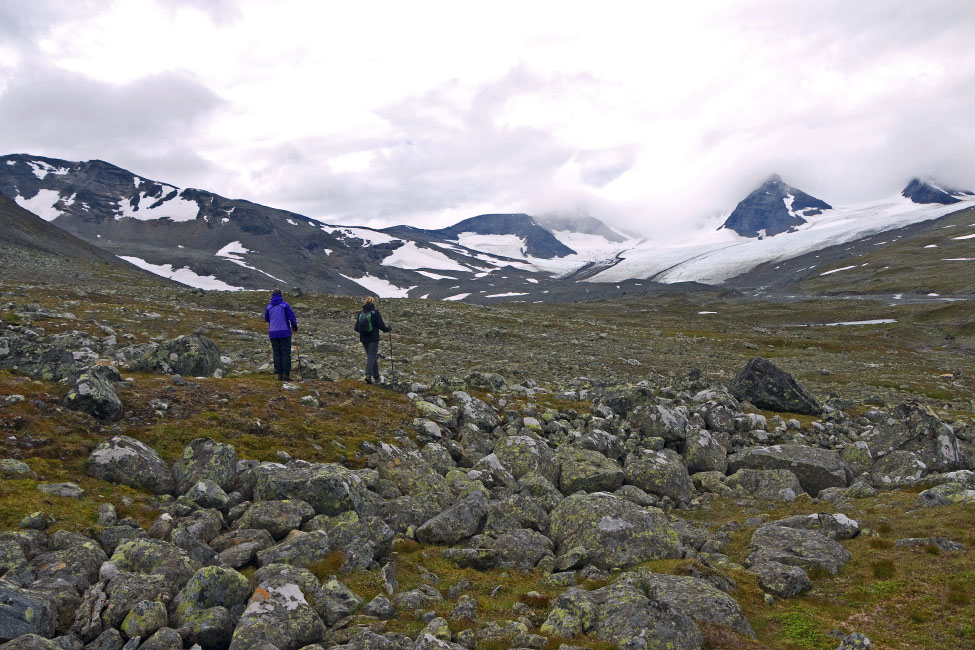 Sarek