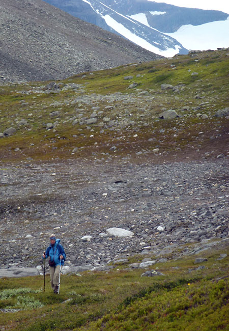 Sarek