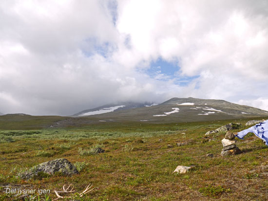 Sarek